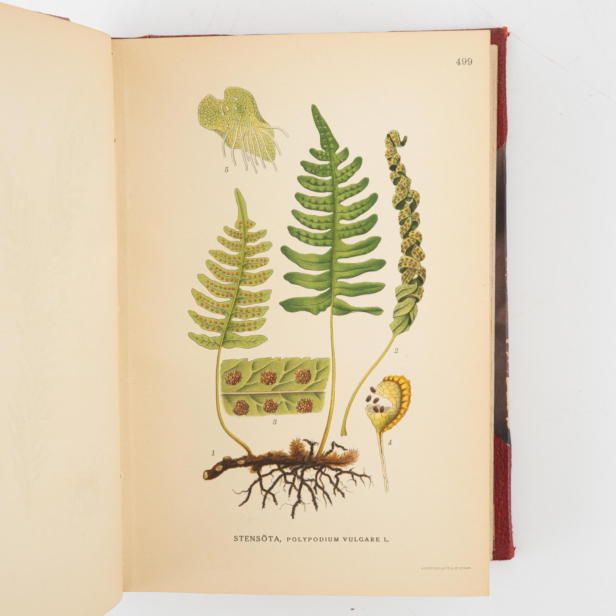 "Bilder ur Nordens Flora", C.A.M Lindman, Wahlström & Widstrand, Stockholm 1922-26 (3 volumes).