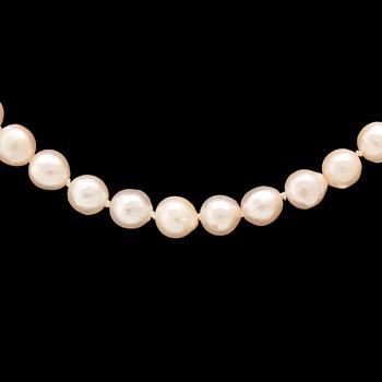Necklace of cultured pearls with clasp in 18K white and red gold.