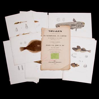 KROMOLITOGRAFIER, 20 st, 1800-talets första hälft.