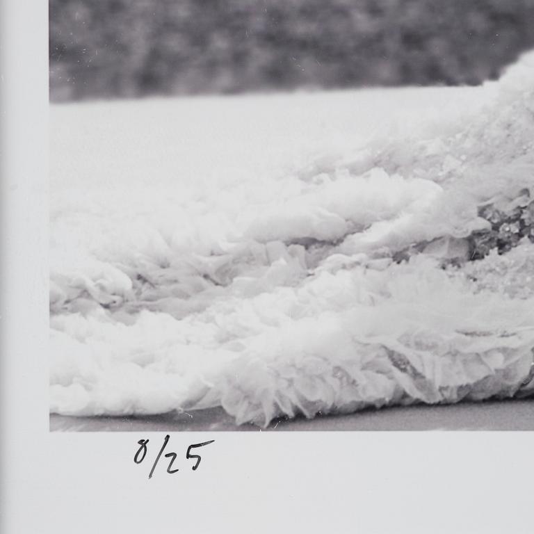 Rickard L Eriksson, "Kronprinsessan Victoria och Prins Daniel", 2010.