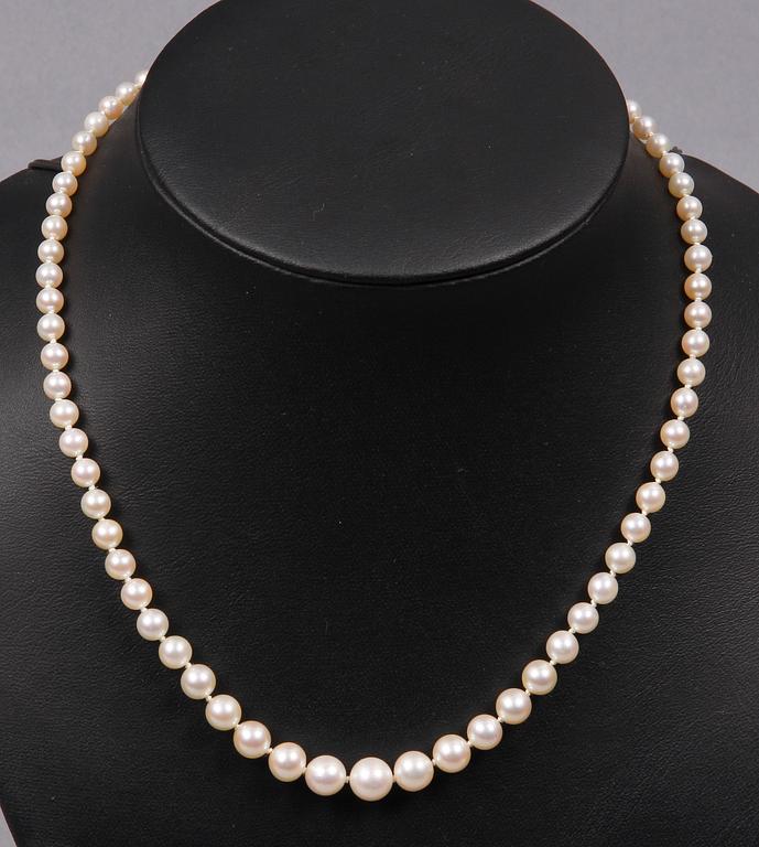 PÄRLCOLLIER, odlade japanska pärlor och silverlås.