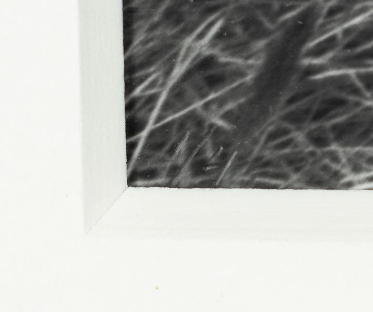 John-E Franzén, Untitled, 1984.