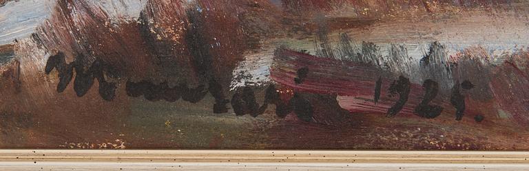 Janne Muusari, Maisema.