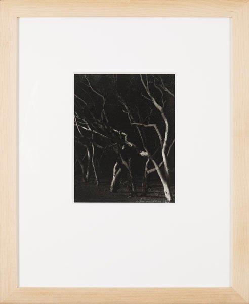 Lennart Olson, "Agadir II", 1979.
