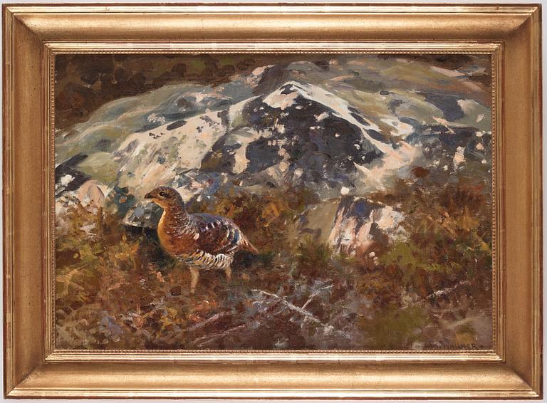 Thure Wallner, Grouse.