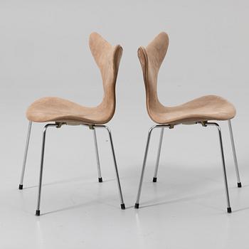 Arne Jacobsen, 8 chairs, “Måsen”/“Liljan”, Fritz Hansen, Denmark.