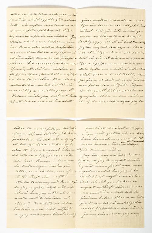 Selma Lagerlöf, Brev från Selma Lagerlöf till John Bauer om Nils Holgersson.