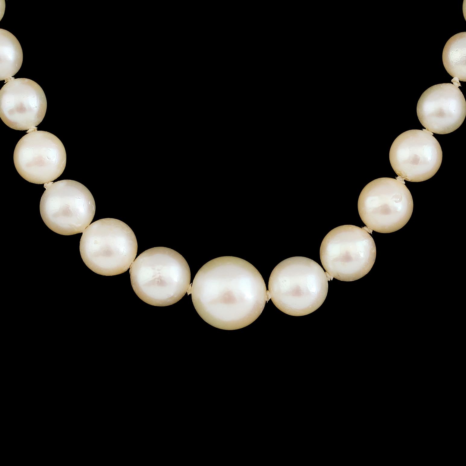 COLLIER, pärlor, lås av silver.