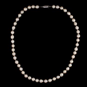 PÄRLCOLLIER med silverlås, 2 par ÖRHÄNGEN med guldlås. 1900-talets senare hälft.