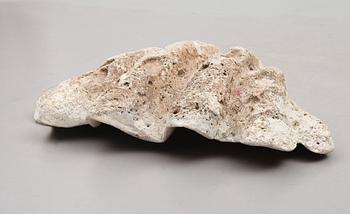 FOSSIL, mussla.