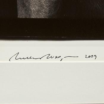 William Wegman, 'Friends'.