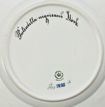 TALLRIKAR, 12 stycken, porslin. "Flora Danica", Kungl Dansk.