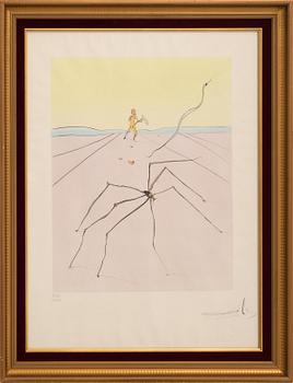 Salvador Dalí,.