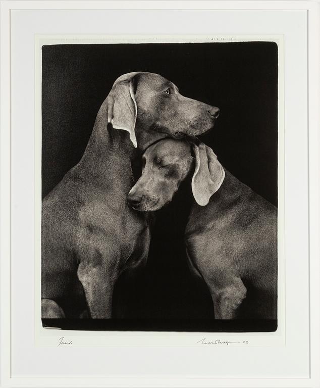 William Wegman, archival pigment print, 2009, signerat. Numrerat 113/1500 a tergo.