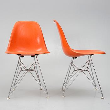 Charles & Ray Eames, chairs, 6 pcs, "DSR Plastic Chair", Herman Miller.
