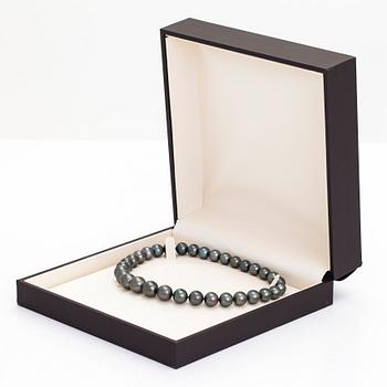 A cultured Tahitian pearl necklace.