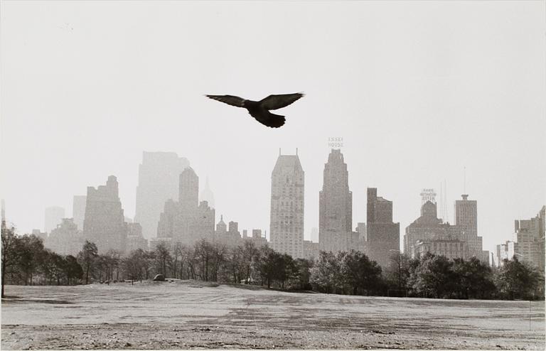 TORE JONSSON, silvergelatinfotografi, vintage, från Central Park, New York, cirka 1955.