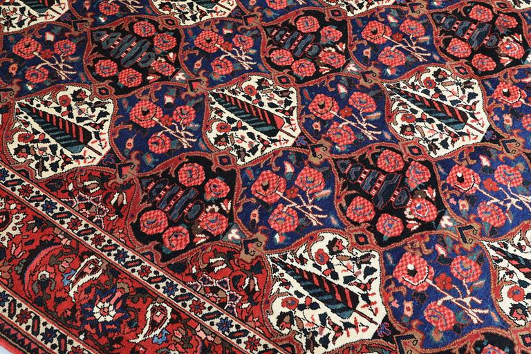 Matta, Baktiari, 300 x 212 cm.