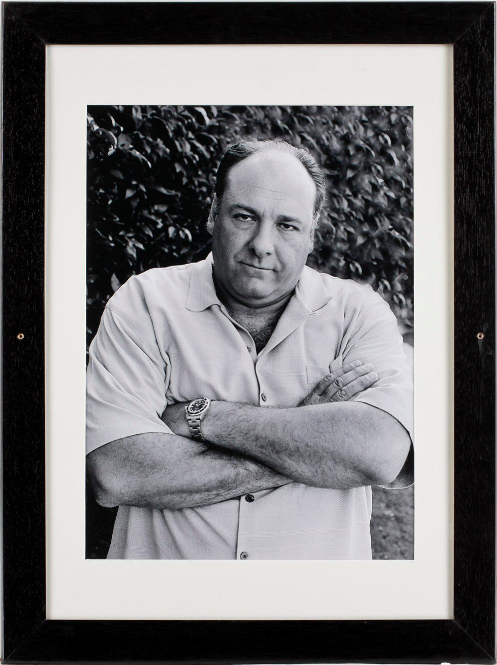 LEIF-ERIK NYGÅRDS, fotografi, one of a kind print, "James Gandolfini".