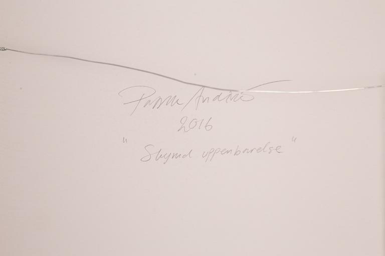 Patrik Andiné, "Skymd uppdenbarelse".