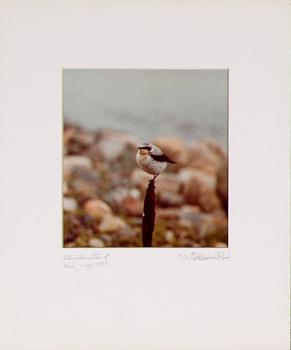 VICTOR HASSELBLAD, fotografier, 12 st, signerade, daterade och numrerade, ur serien nr 22.