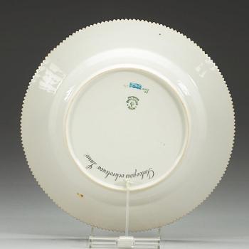 A set of 14 Royal Copenhagen 'Flora Danica' dinner plates, Denmark, 20th Century.