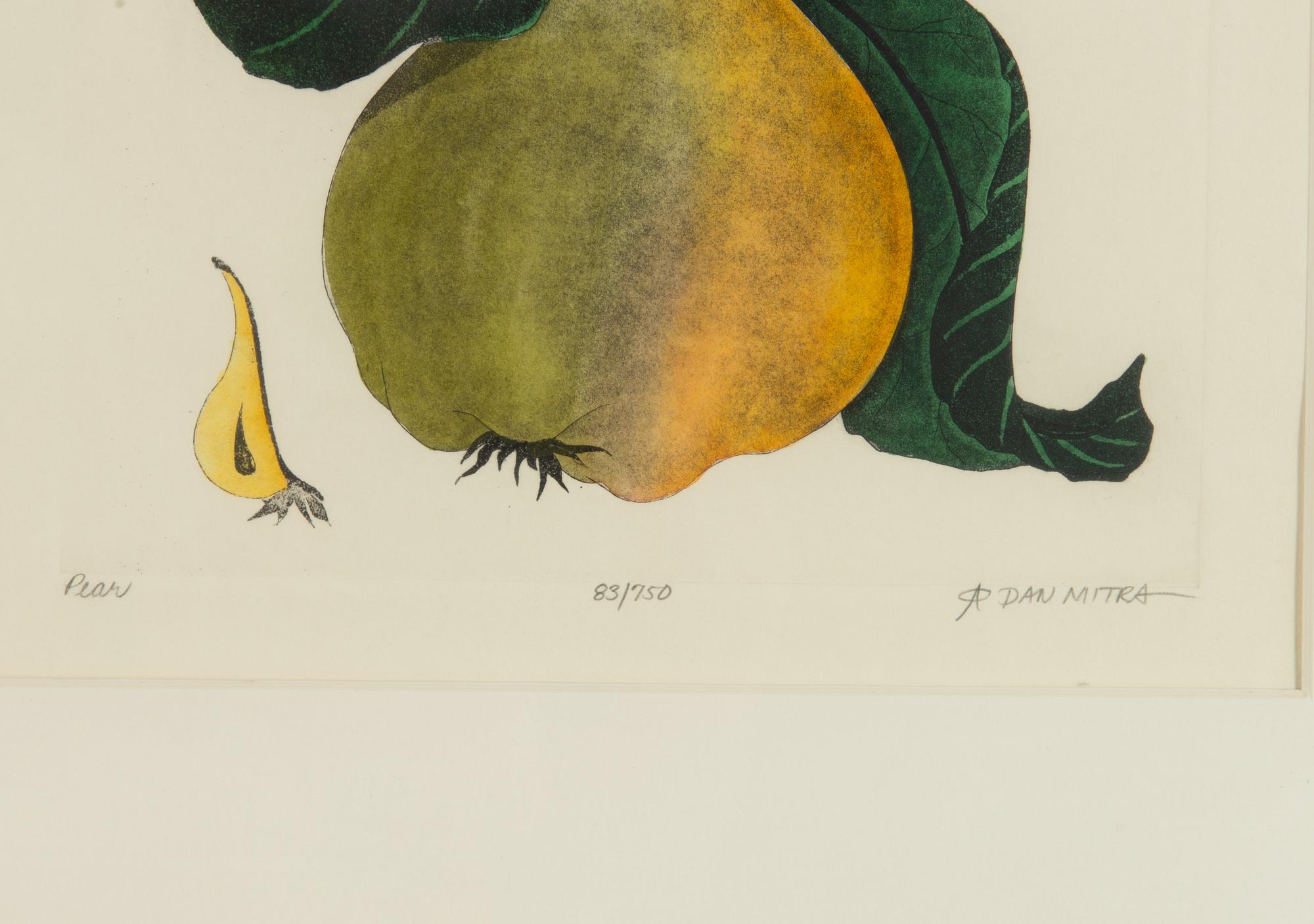 Dan Mitra, a suite of six etchings, framed together.