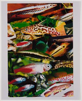 Isa Genzken, "Aquarium I" & "Aquarium II".