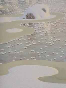 Gustaf Fjaestad, Rime frost over frozen lake in sunlit landscape.