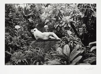 158. Edouard Boubat, "Hommage à Douanier Rousseau".