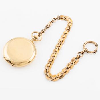 IWC, fickur, savonett, 49 mm.