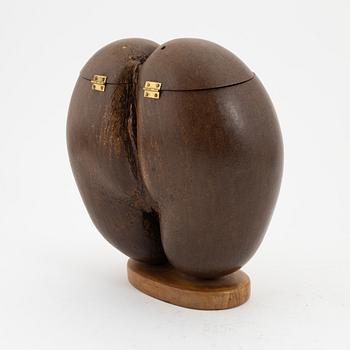 Ask, dubbelkokosnöt, så kallad Coco de Mer, Lodoicea maldivica.