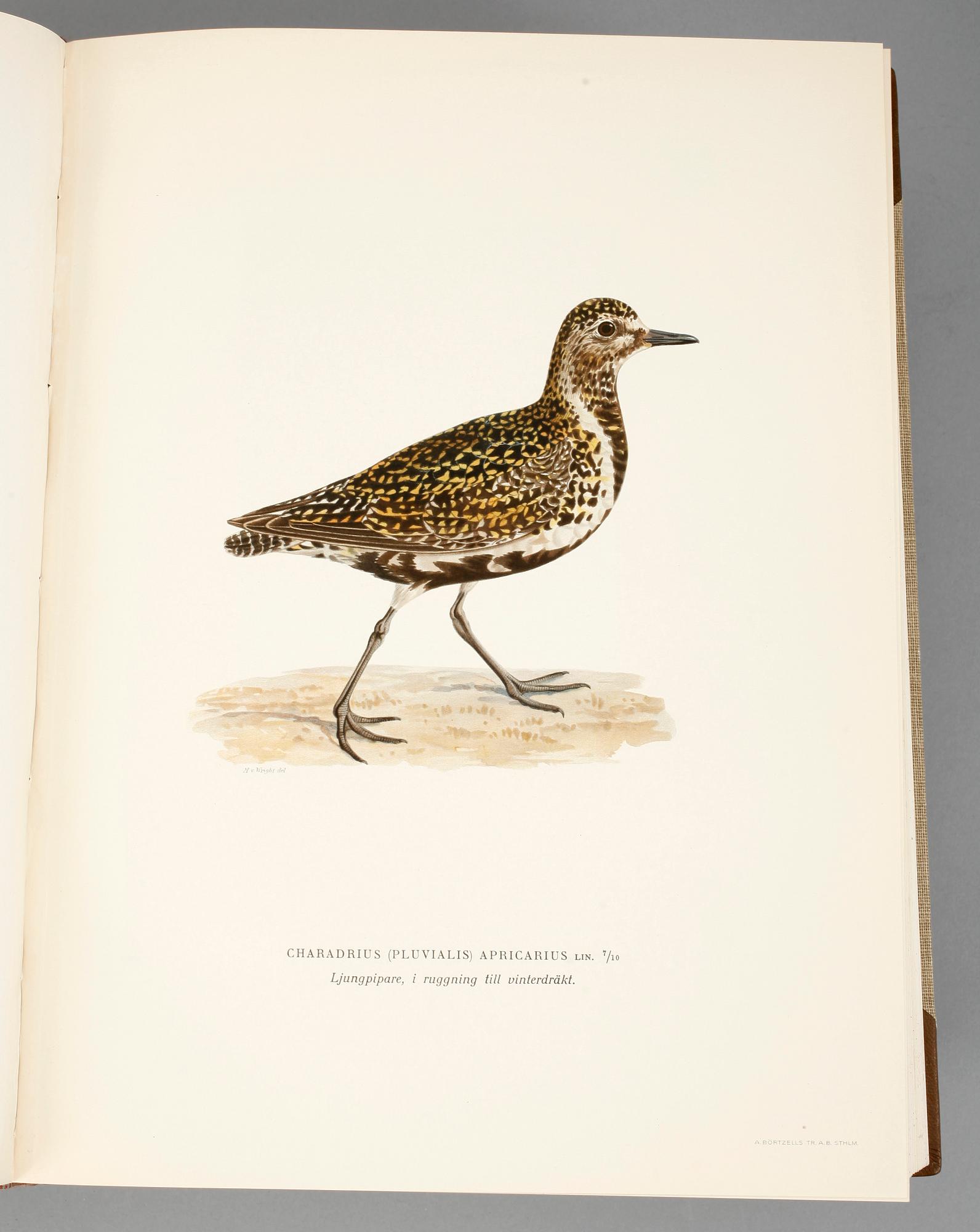 BÖCKER, 3 volymer, "Svenska Fåglar", M, W & F von Wright.