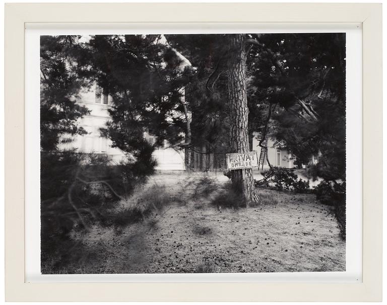 Denise Grünstein, "Malplacé".