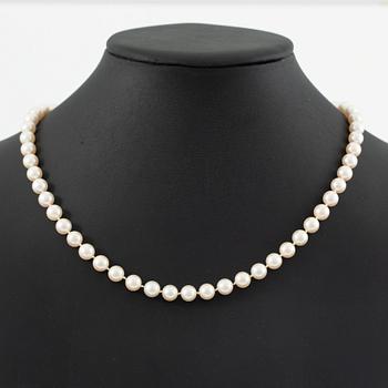 Necklace of cultured pearls, clasp 18K gold with round brilliant-cut diamonds.