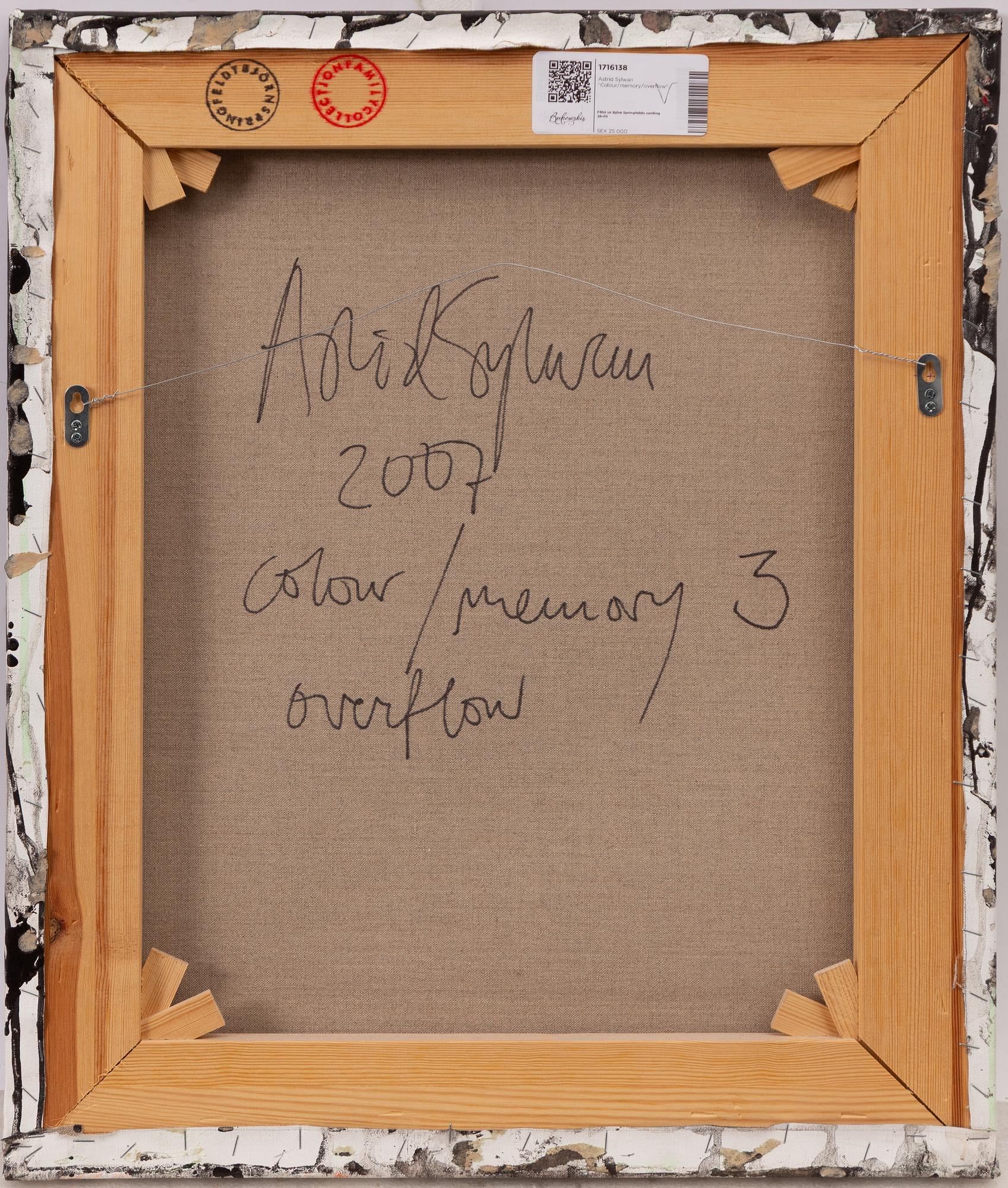Astrid Sylwan, "Colour/Memory 3, Overflow".