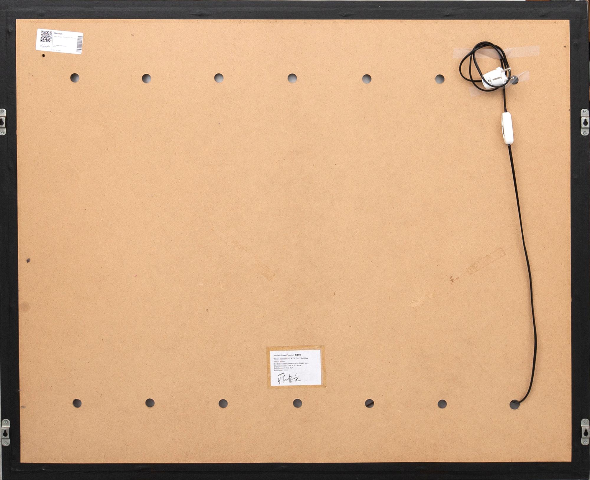 Jiang Pengyi, "Luminant: BTV (A)", 2008.