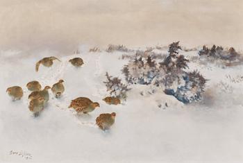 911. Bruno Liljefors, Partridges in snow.