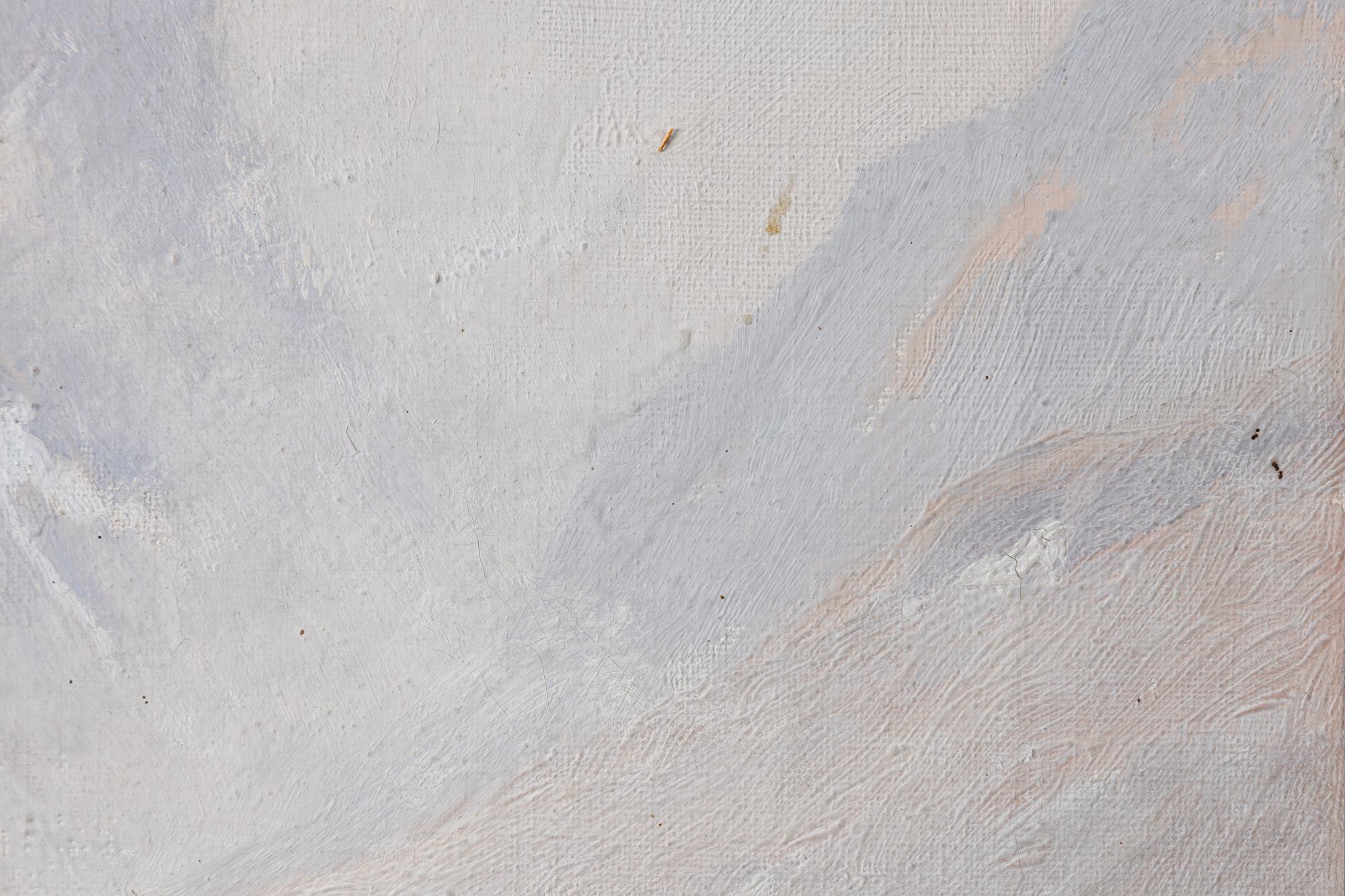 Olof Walfrid Nilsson, From Kebnekaise.