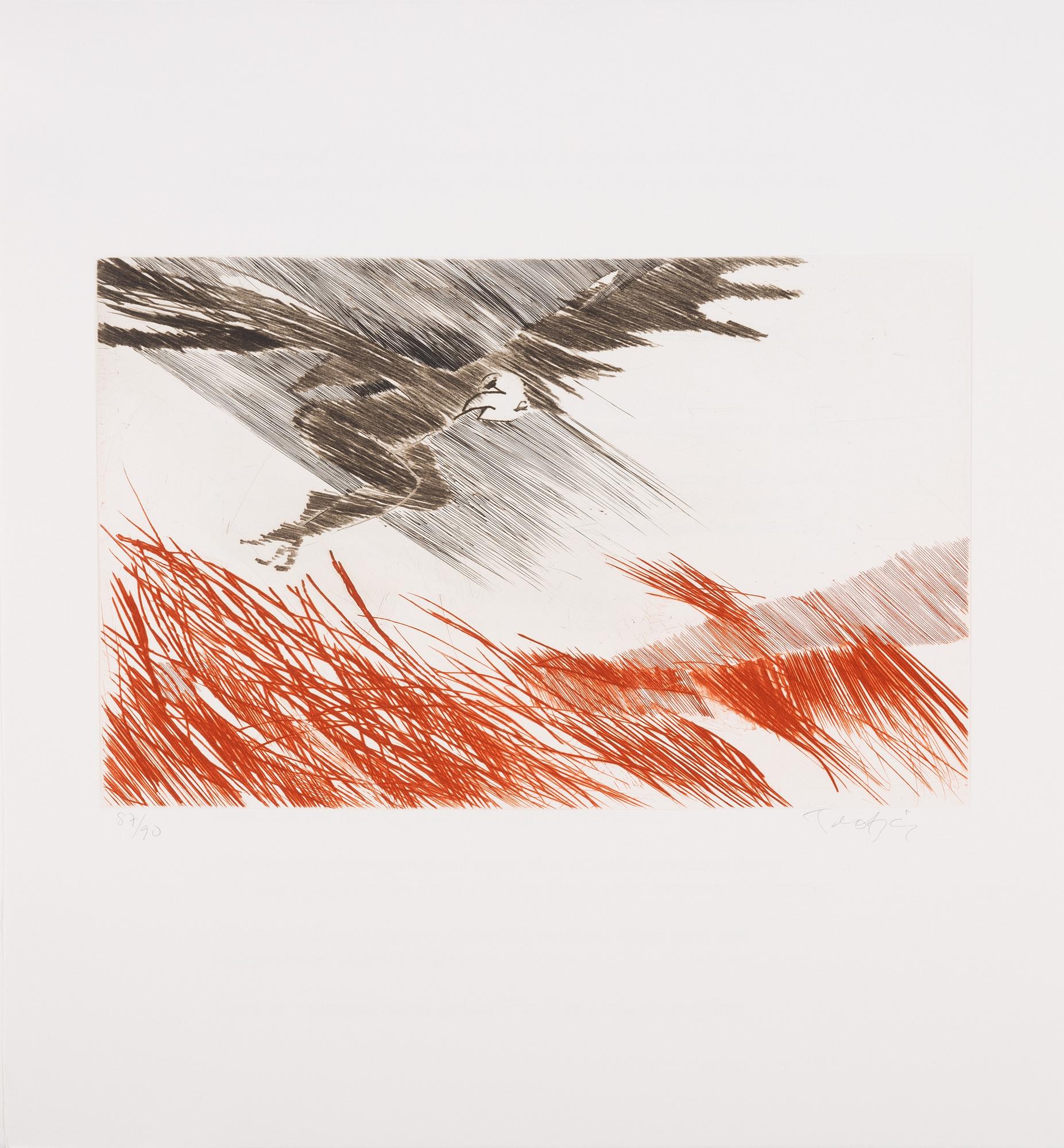 Ulf Trotzig, "King Sweeney", portfolio with nine colour etchings.