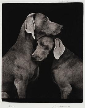 45. William Wegman, "Friends".