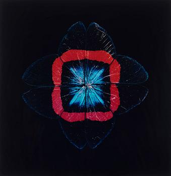 226. Nathalia Edenmont, 'Red Square', 2005.