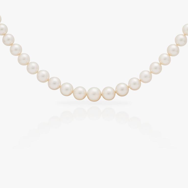 A cultured South Sea pearl necklace.