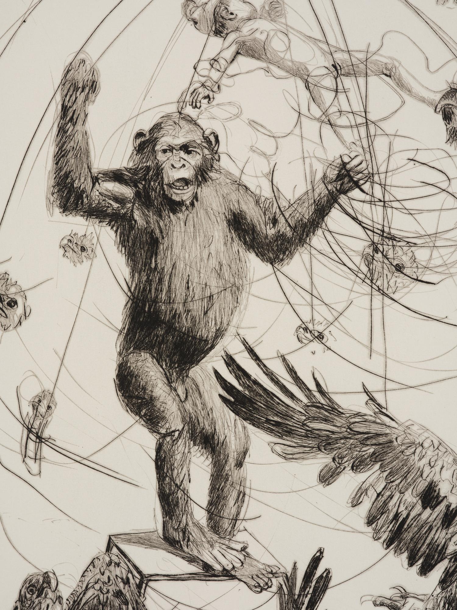 Linn Fernström, "Apursinne".