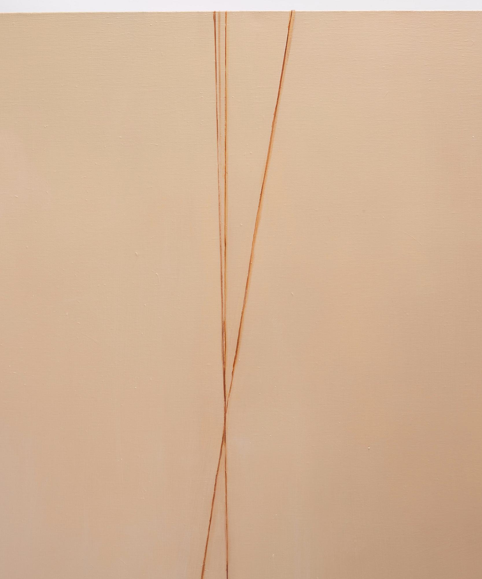 Nina Roos, 'A thin white line cuts the space'.