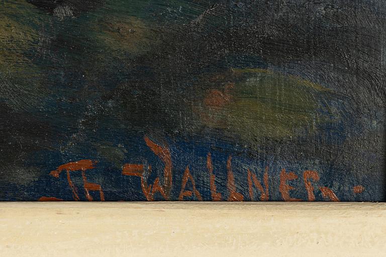 Thure Wallner, Unga Skrattmåsar.