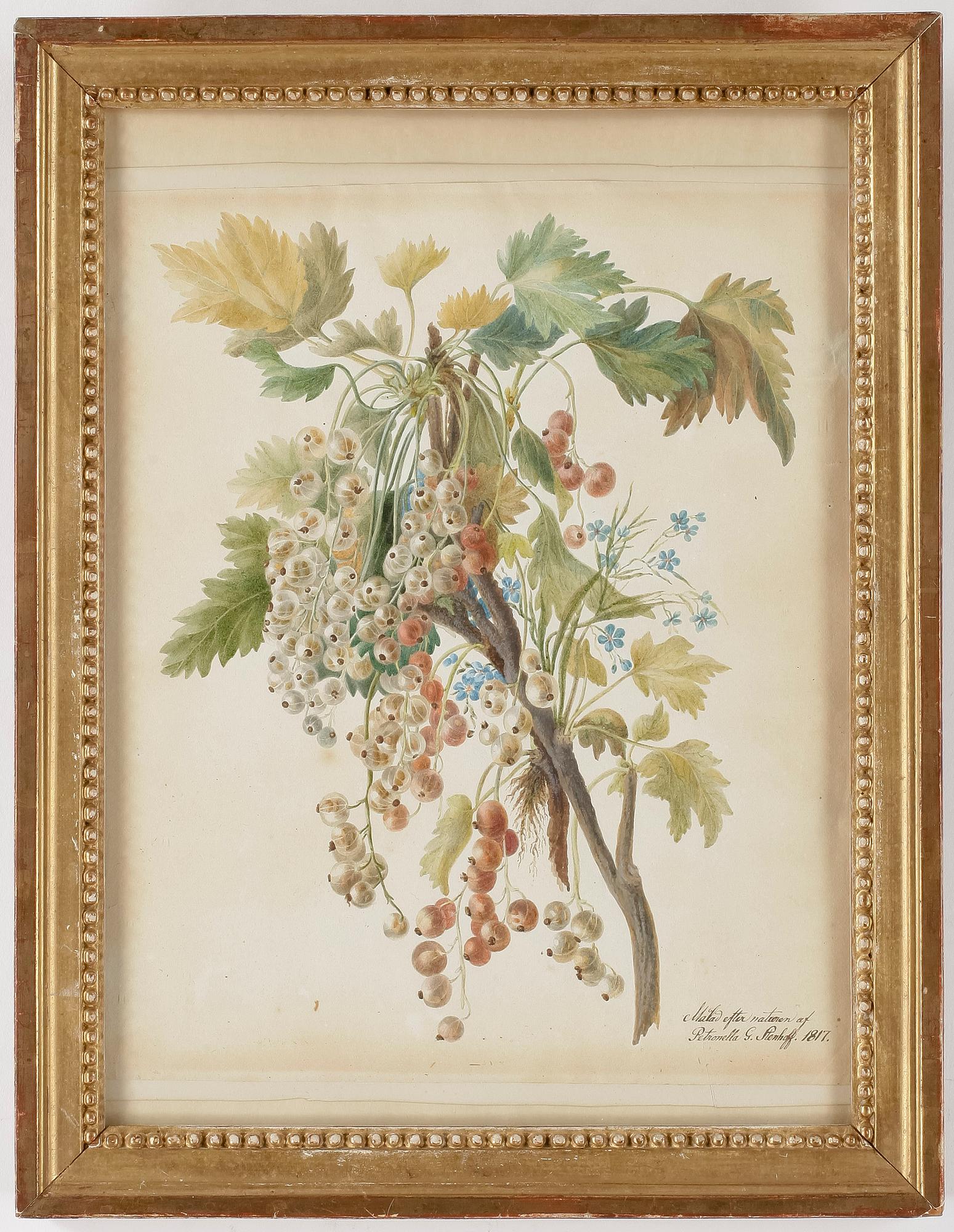 PETRONELLA GUSTAVA STENHOFF, akvarell, sign Petronella G. Stenhoff, dat 1817.