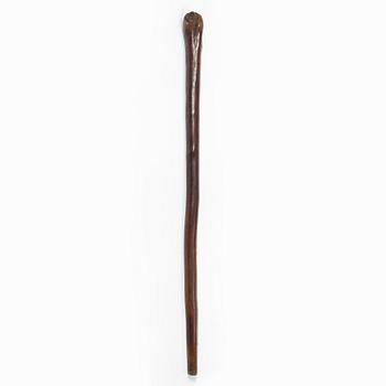 Käpp, möjligen England, 1800-tal.