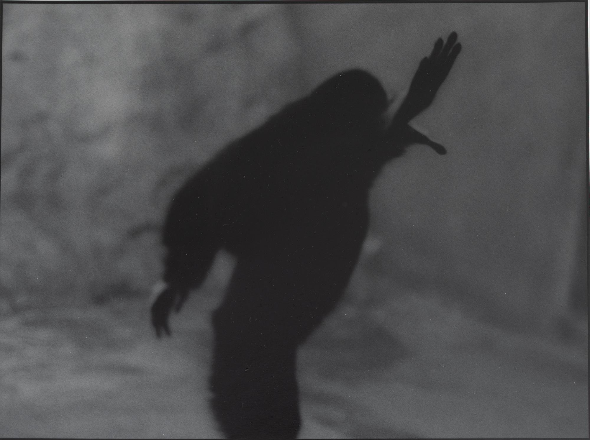 Kenneth Gustavsson, "Untitled (Apan)", 1982.