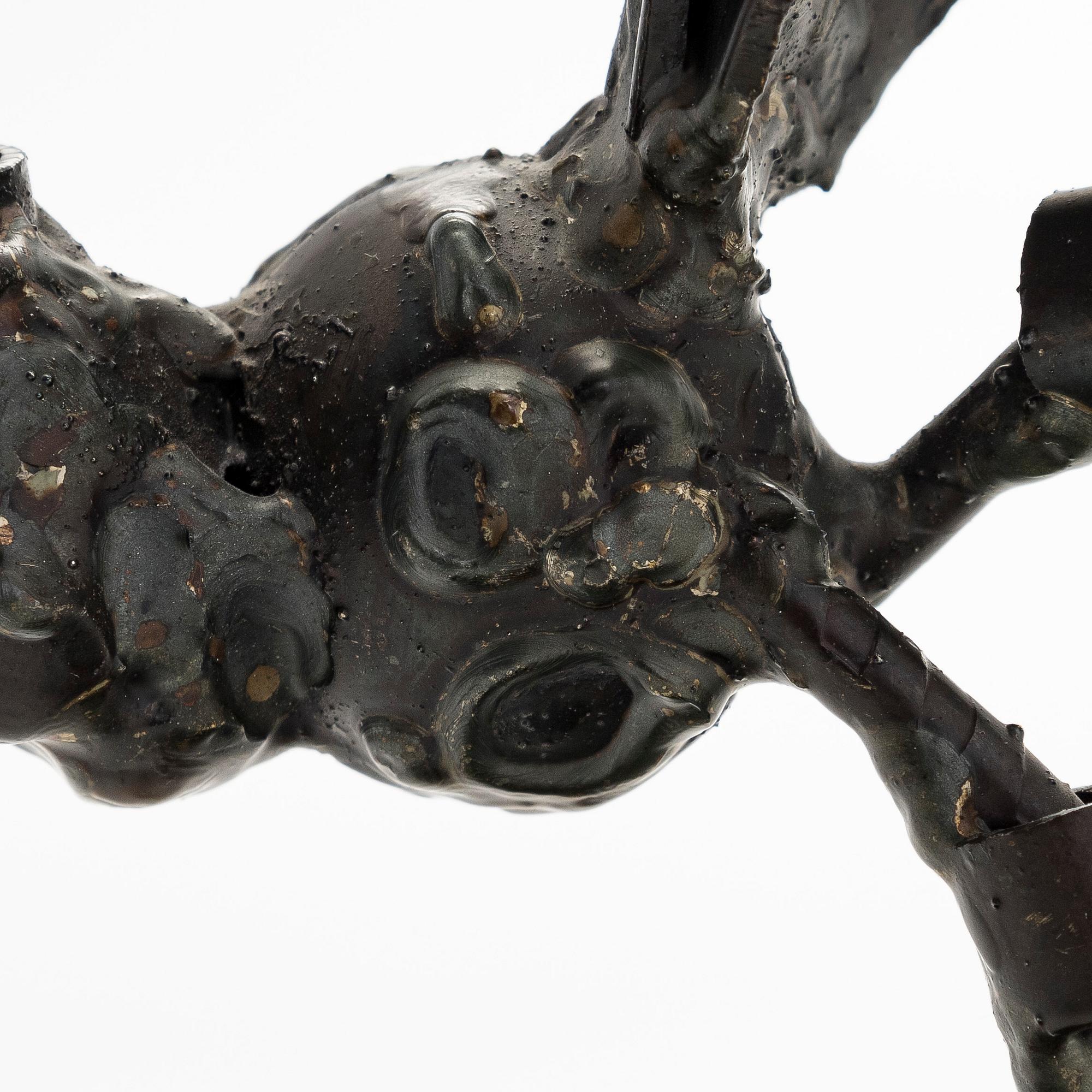 Veikko Haukkavaara, Ringmärkt fågel.